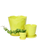 Chive Tika green sheen ceramic planters in small, medium, and large with saucers, styled with a plant.