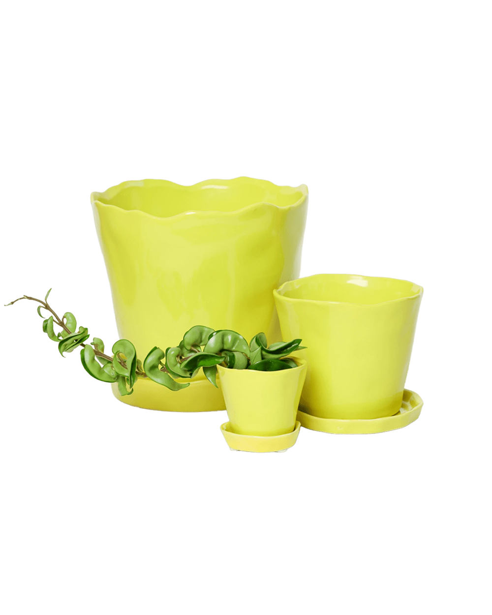 Chive Tika green sheen glazed ceramic planters in small, medium and large sizes with drainage and saucers, styled with a plant.