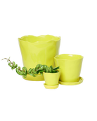 Chive Tika green sheen glazed ceramic planters in small, medium and large sizes with drainage and saucers, styled with a plant.