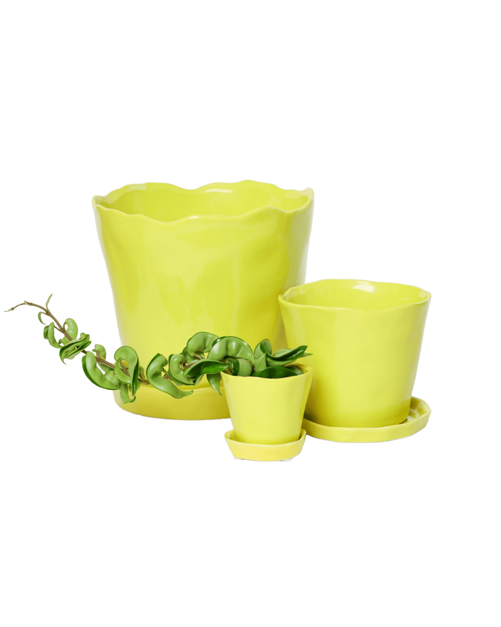 Chive Tika green sheen ceramic planters in small, medium, and large with saucers, styled with a plant.