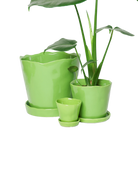 Chive Tika greenery ceramic planters in small, medium, and large with saucers, styled with a plant.