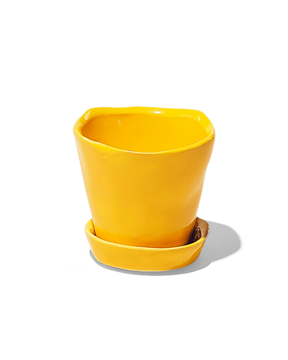 Chive Tika meadowlark yellow ceramic small plant pot with drainage hole and detachable saucer.