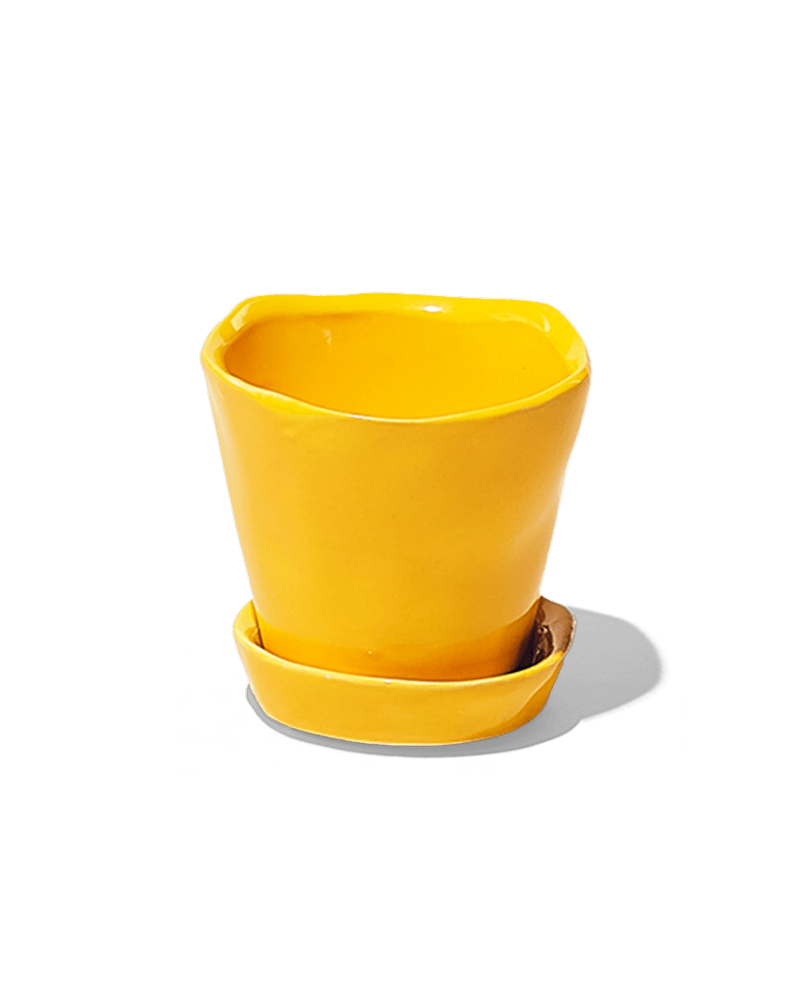 Chive Tika meadowlark yellow ceramic small plant pot with drainage hole and detachable saucer.