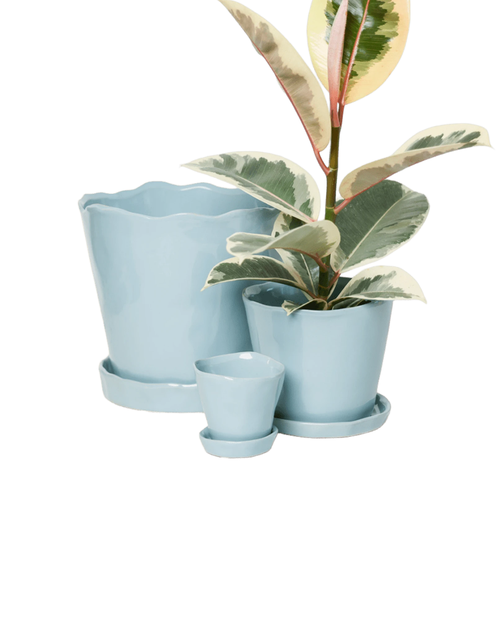 Chive Tika new grey ceramic planters in small, medium, and large with saucers, styled with a plant.