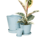 Chive Tika new grey ceramic planters in small, medium, and large with saucers, styled with a plant.