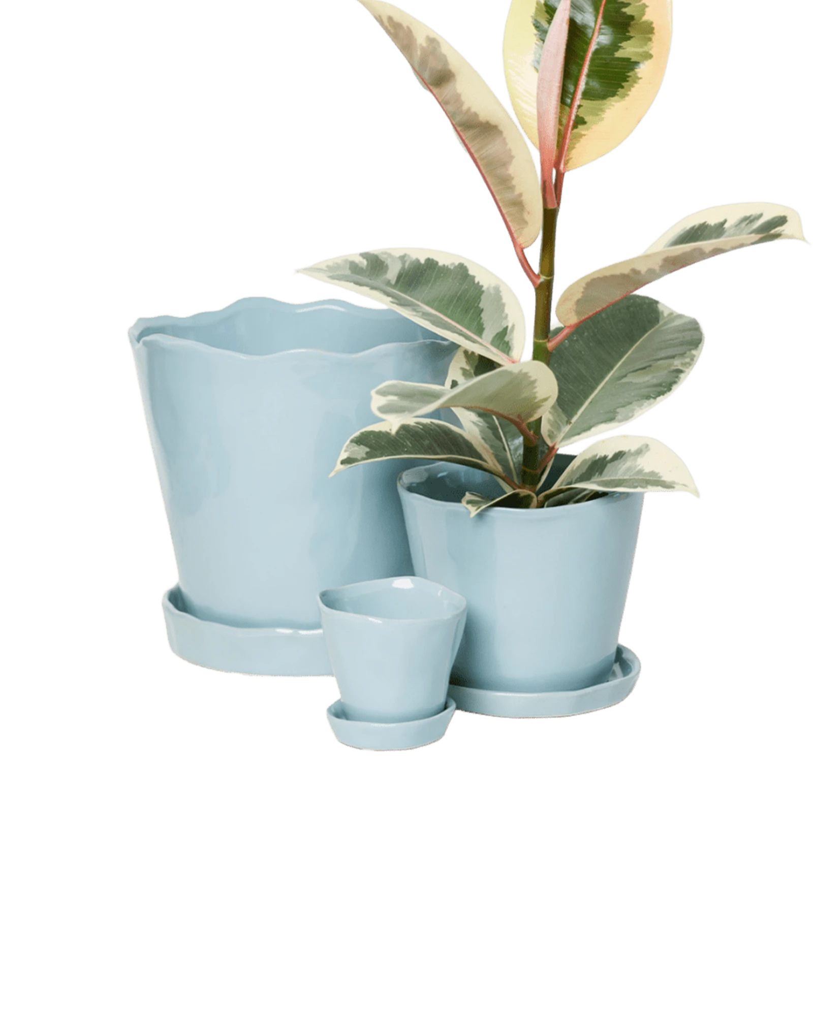 Chive Tika new grey ceramic planters in small, medium, and large with saucers, styled with a plant.