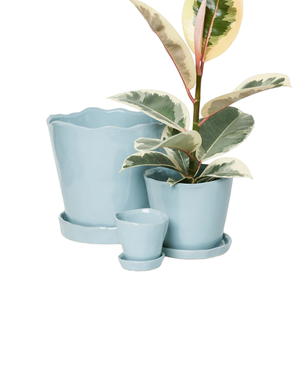 Three Chive Tika fully glazed Ceramic planters in color new grey, in size large, medium, and small styled with a plant.