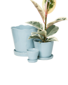 Three Chive Tika fully glazed Ceramic planters in color new grey, in size large, medium, and small styled with a plant.