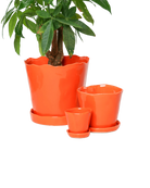 Chive Tika orange glazed ceramic planters in small, medium and large sizes with drainage and saucers, styled with a plant.