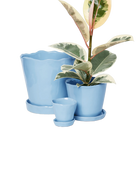 Chive Tika periwinkle glazed ceramic planters in small, medium and large sizes with drainage and saucers, styled with a plant.