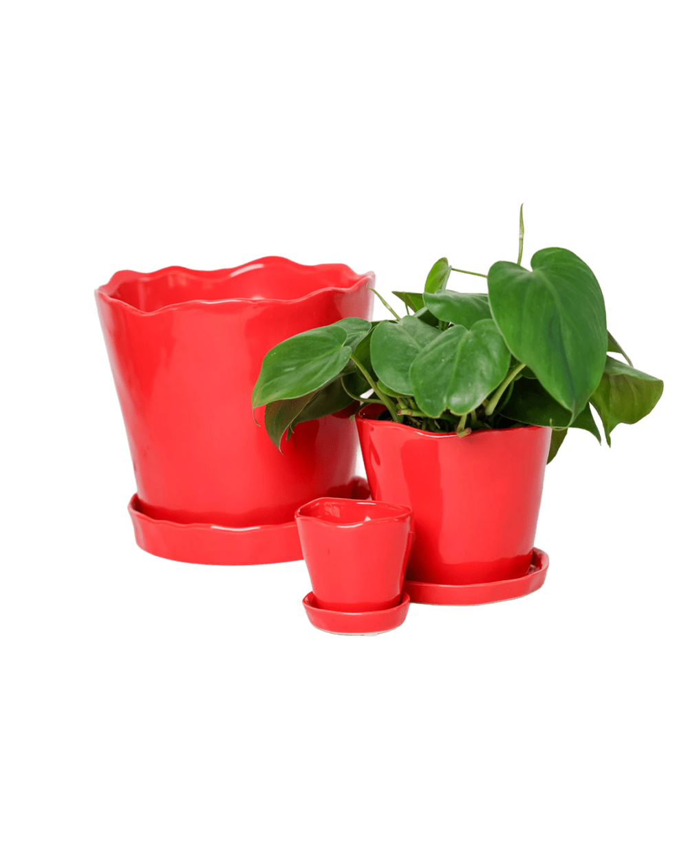 Chive Tika red ceramic planters in small, medium, and large with saucers, styled with a plant.