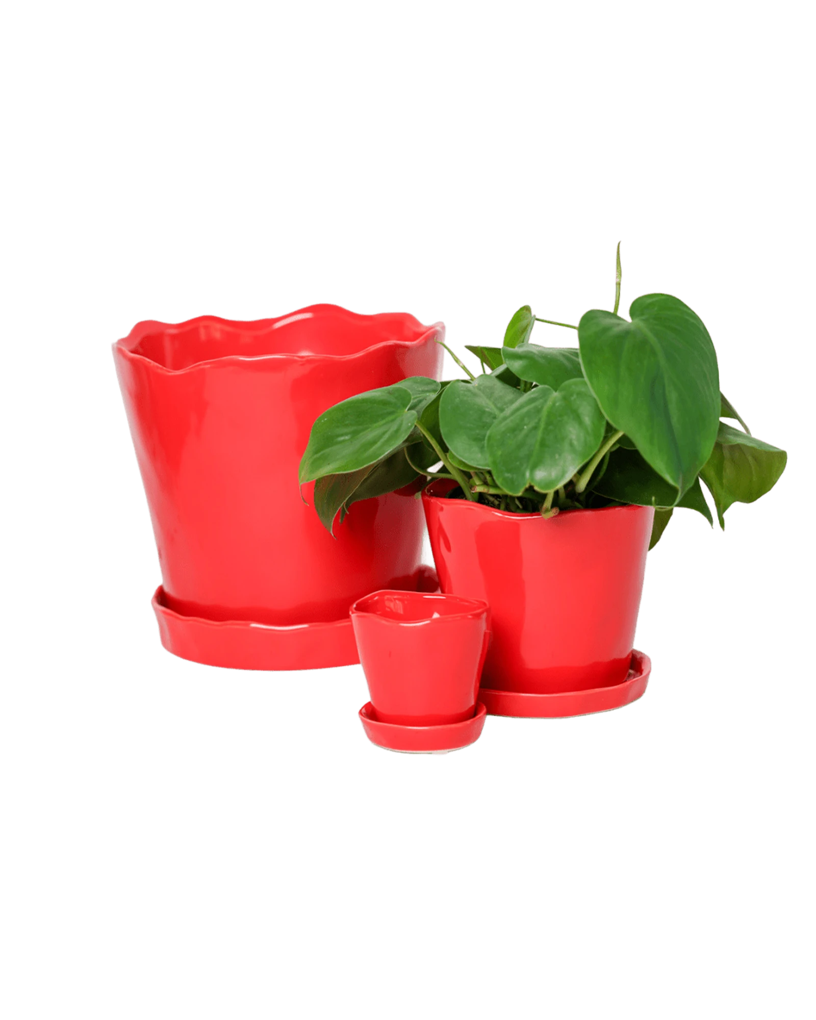 Chive Tika red ceramic planters in small, medium, and large with saucers, styled with a plant.