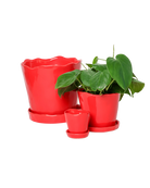 Chive Tika red glazed ceramic planters in small, medium and large sizes with drainage and saucers, styled with a plant.