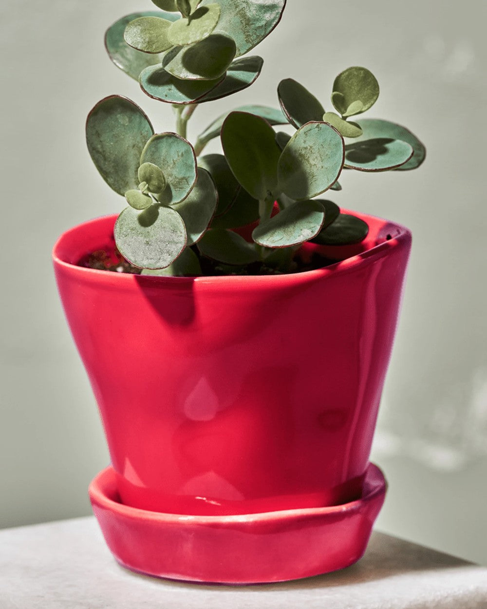 Chive Tika red ceramic small planter holding a small houseplant on a table.
