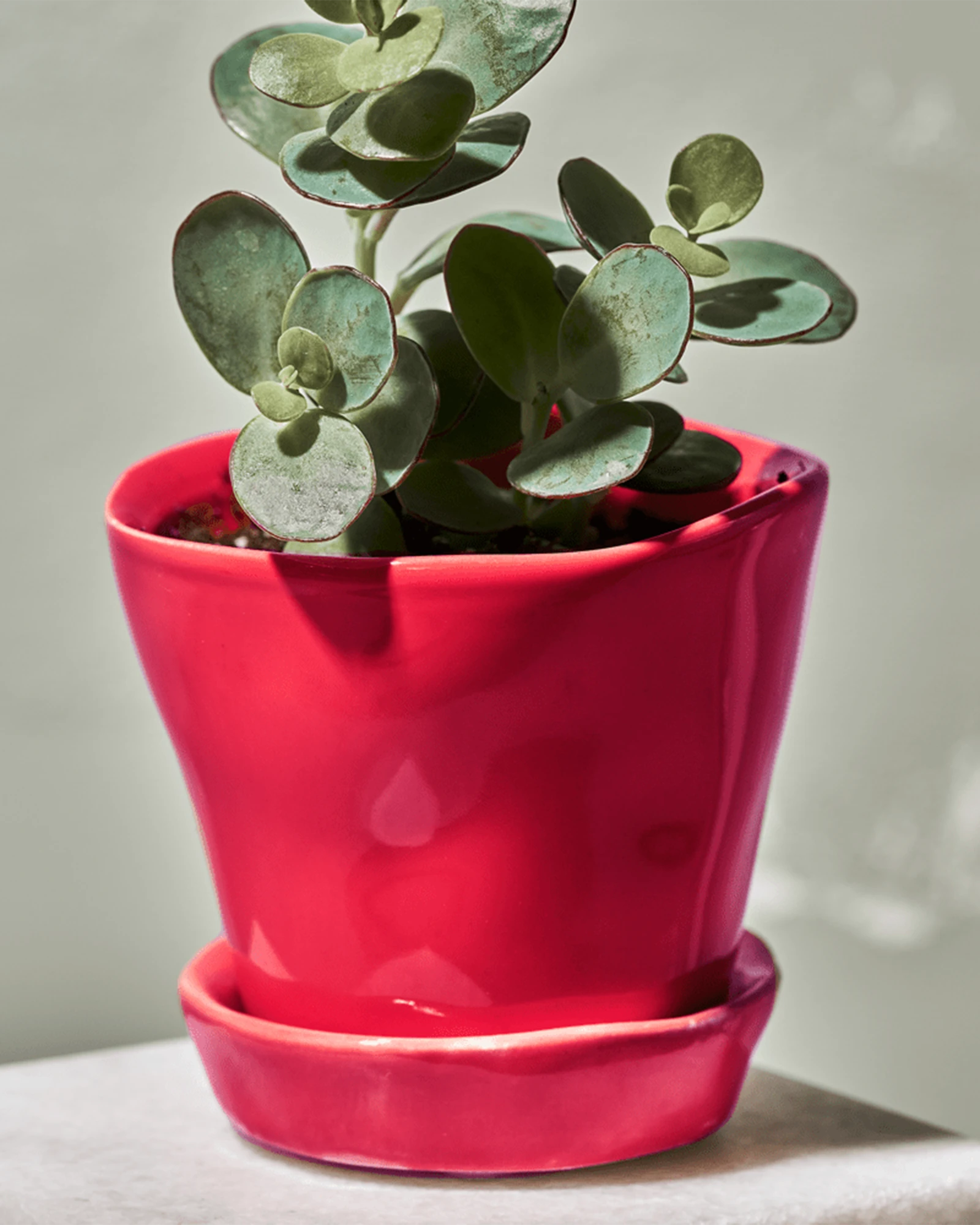 Chive Tika red ceramic small planter holding a small houseplant on a table.