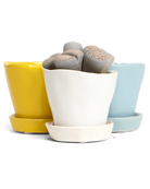 Three Chive Tika small ceramic planters with saucers, styled with succulents.