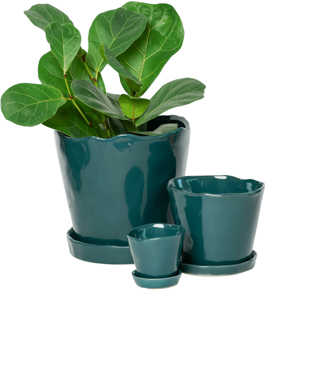 Chive Tika spruce ceramic planters in small, medium, and large with saucers, styled with a plant.