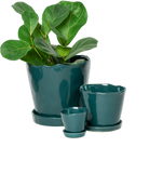 Chive Tika spruce ceramic planters in small, medium, and large with saucers, styled with a plant.