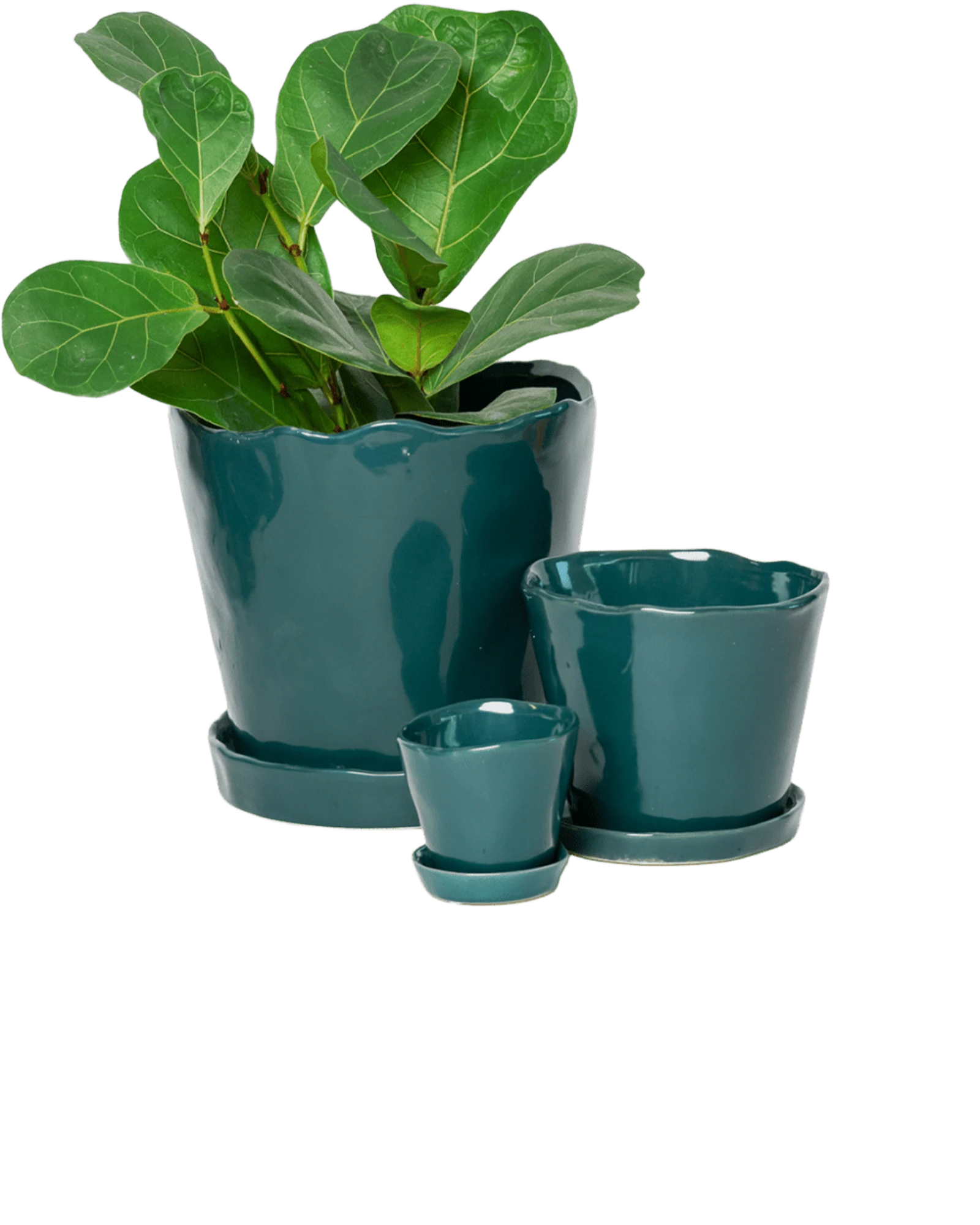 Chive Tika spruce ceramic planters in small, medium, and large with saucers, styled with a plant.