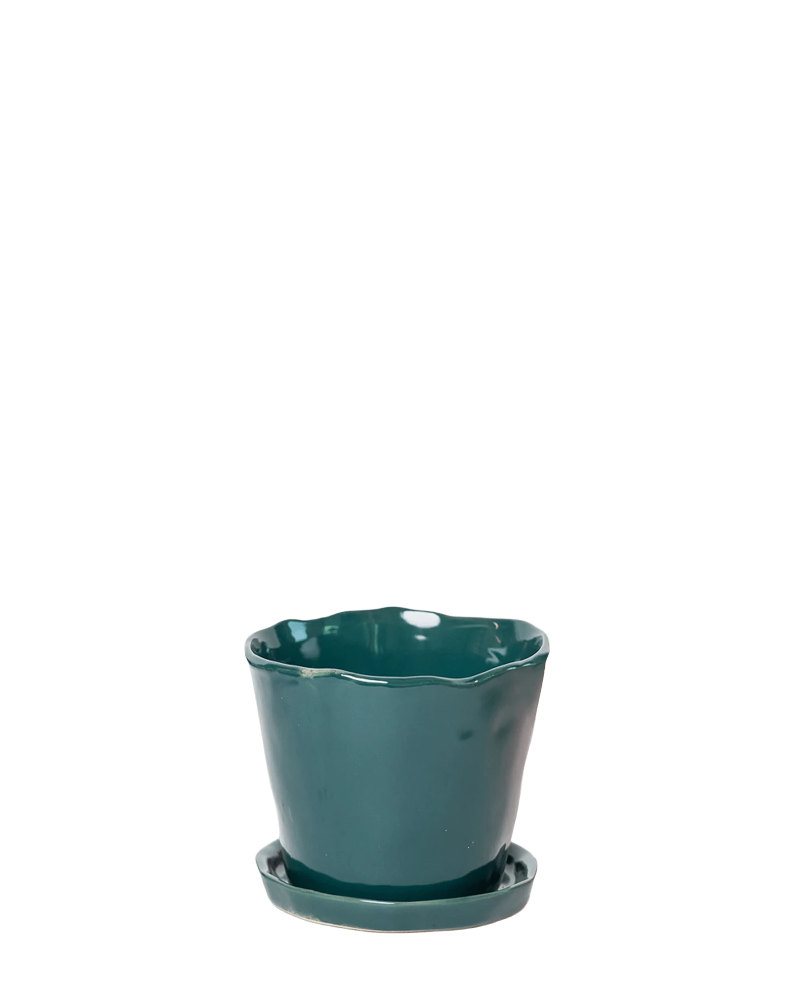 Chive Tika spruce ceramic large plant pot with drainage and saucer.