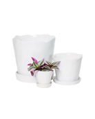 Chive Tika white ceramic planters in small, medium, and large with saucers, styled with a plant.