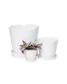 Chive Tika white ceramic planters in small, medium, and large with saucers, styled with a plant.