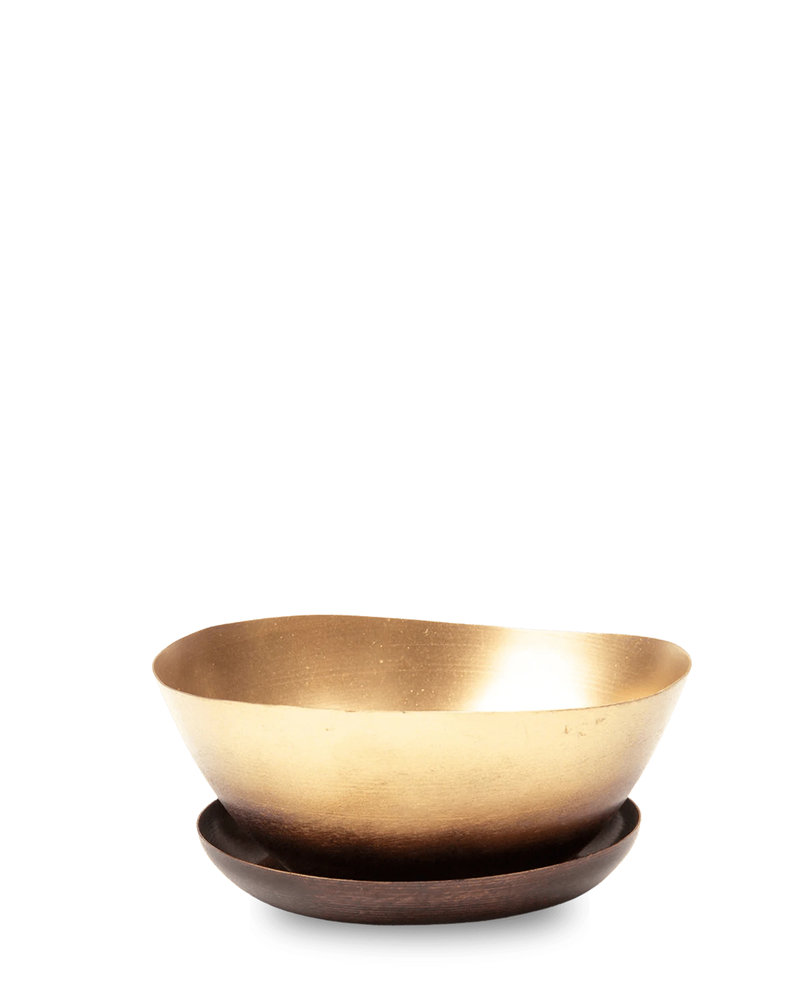 Chive Topper mahogany and gold metal small succulent dish with detachable drainage saucer.
