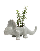 Chive Triceratops Almost Aqua color glazed ceramic dinosaur shaped planter styled with a plant.