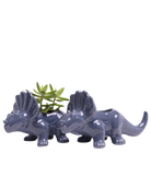 Two Chive Triceratops Blue Stone color glazed ceramic dinosaur shaped planters styled with a succulent.