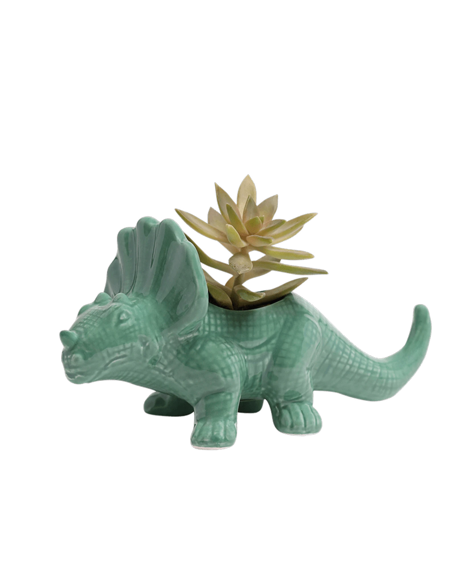 Chive Triceratops Cascade teal color glazed ceramic dinosaur shaped planter styled with a succulent.