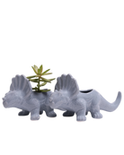 Two Chive Triceratops Cloud Blue color glazed ceramic dinosaur shaped planters styled with a plant.