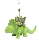 Chive Triceratops Fluorite Green color glazed ceramic dinosaur shaped planter styled with a succulent.
