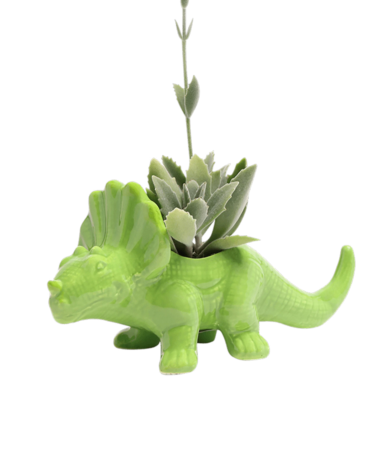 Chive Triceratops Fluorite Green color glazed ceramic dinosaur shaped planter styled with a succulent.