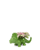 Chive Triceratops Foliage green color glazed ceramic dinosaur shaped planter styled with a small plant.