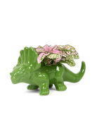 Chive Triceratops Foliage green color glazed ceramic dinosaur shaped planter styled with a small plant.