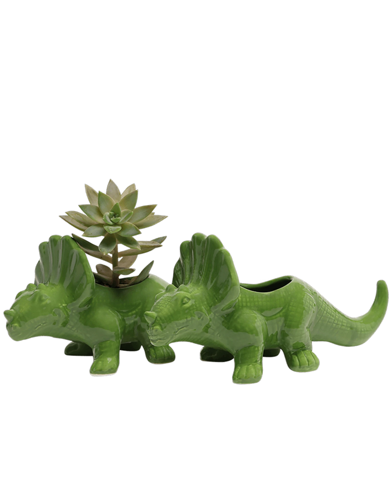 Two Chive Triceratops Foliage green color glazed ceramic dinosaur shaped planters styled with a succulent.