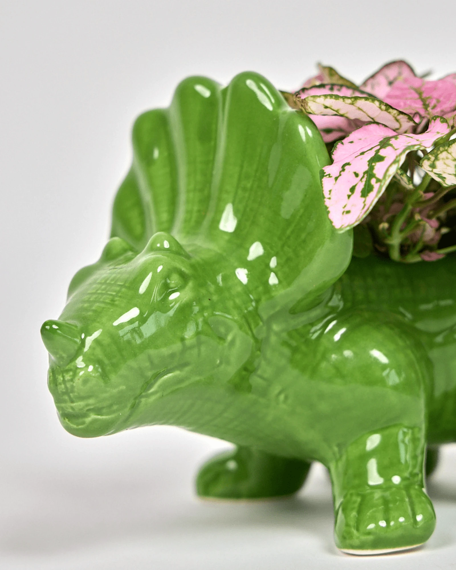 Close-up of the glazed finish and texture details on a Chive Triceratops Foliage green color ceramic planter.
