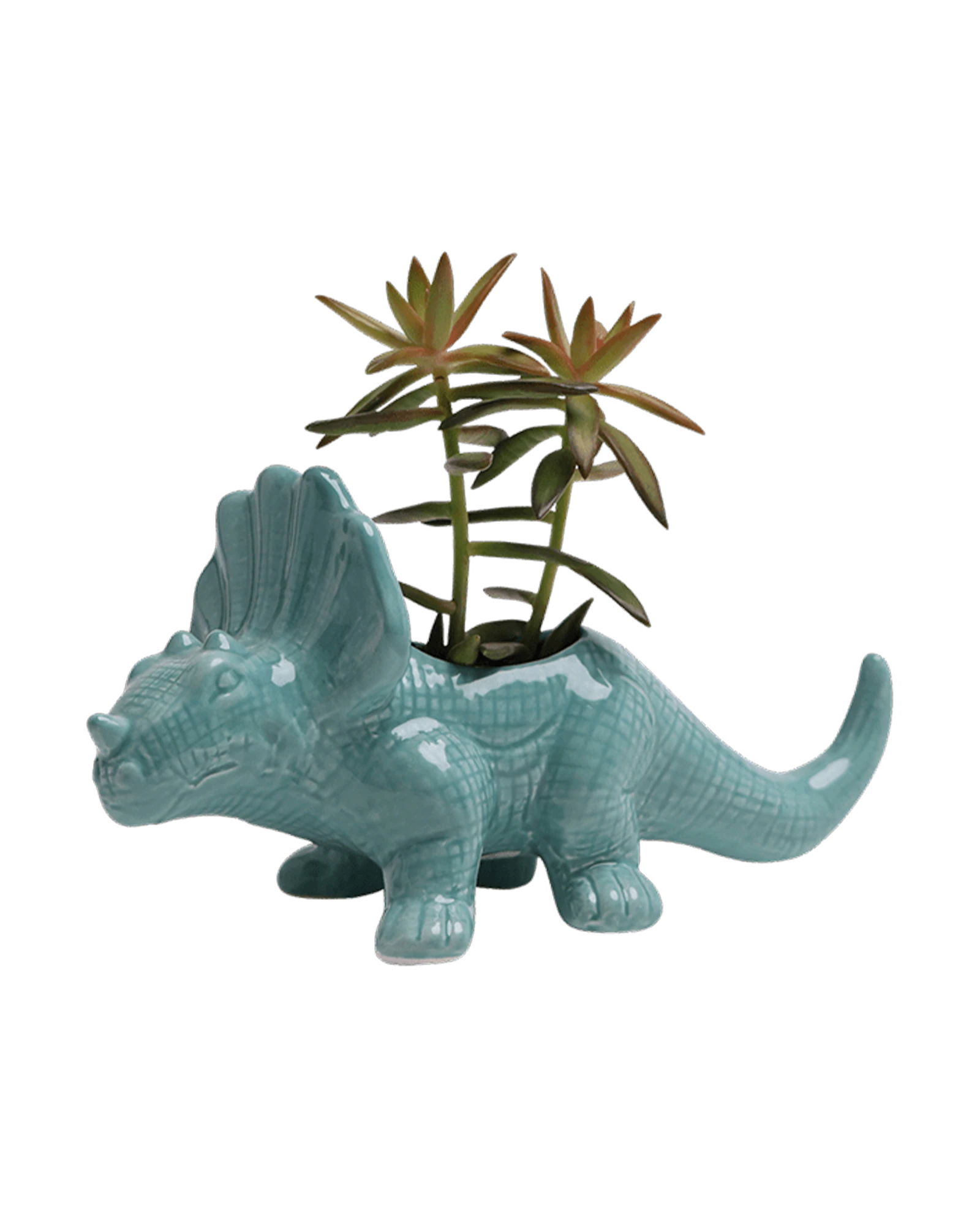 Chive Triceratops Granite Green color glazed ceramic dinosaur shaped planter styled with a small plant.