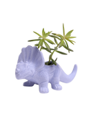 Chive Triceratops Halogen Blue color glazed ceramic dinosaur shaped planter styled with a plant.
