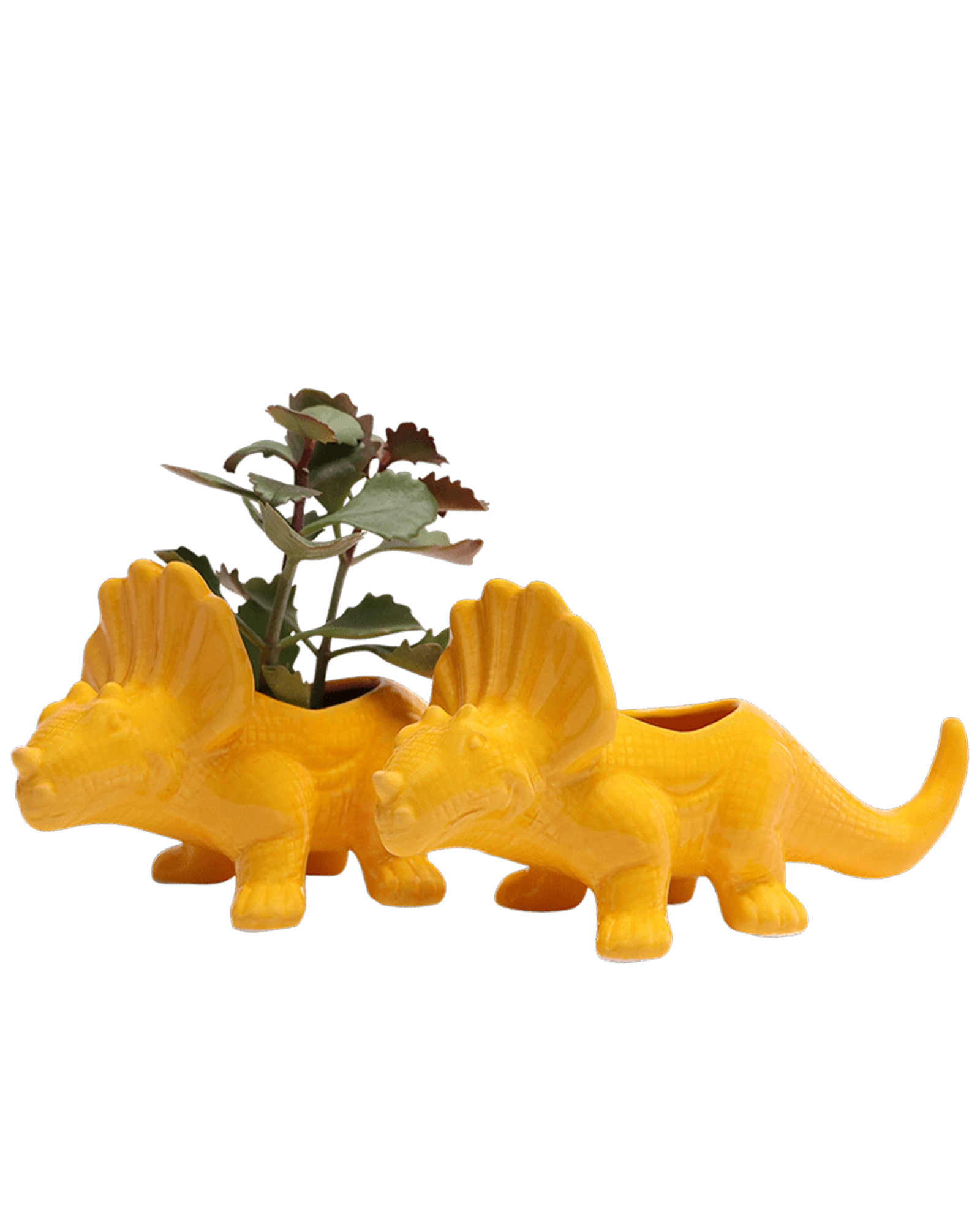 Two Chive Triceratops Lemon Chrome yellow glazed ceramic dinosaur shaped planters styled with a plant.