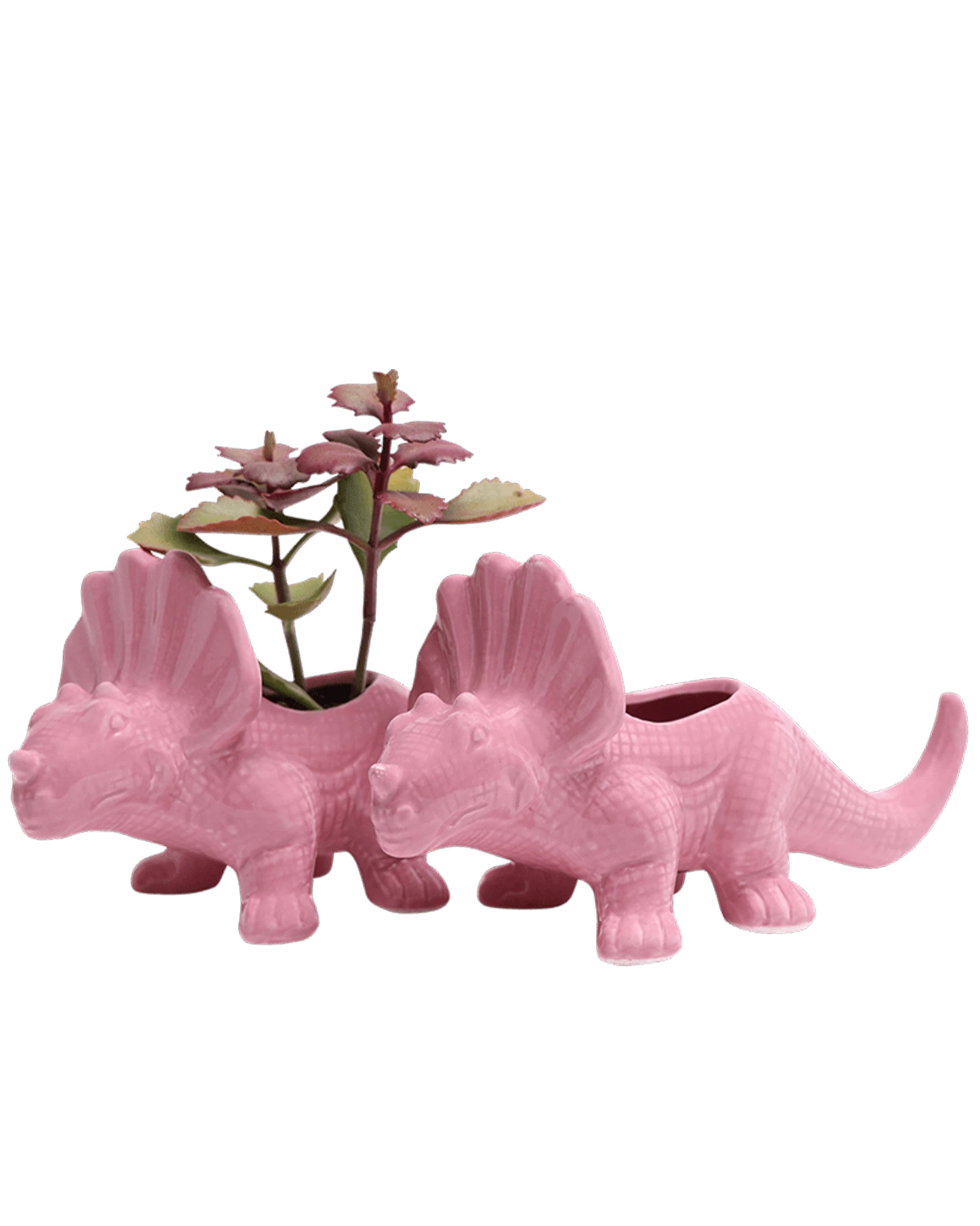 Two Chive Triceratops Nose Gay Pink glazed ceramic dinosaur shaped planters styled with a small plant.