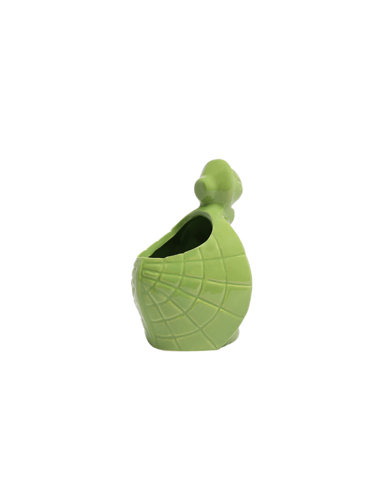 Back view of Chive Turtle Green color ceramic turtle shaped succulent planter with no drainage.