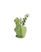 Chive Turtle Green color glazed ceramic turtle shaped planter styled with a small plant.