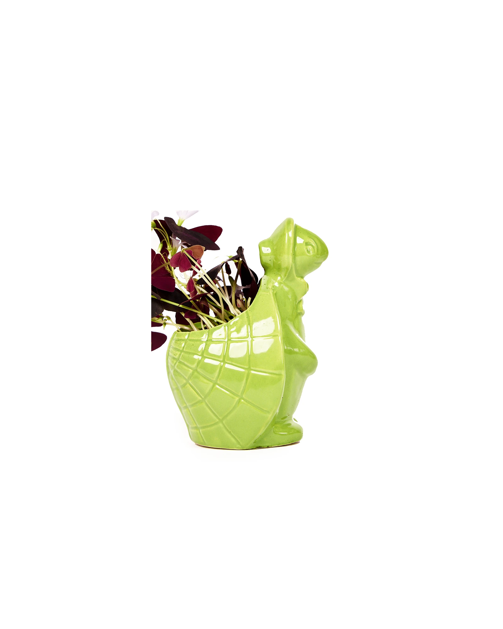 Side view of a Chive Turtle Green color glazed ceramic turtle shaped planter styled with a small plant.