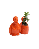 Two Chive Turtle Orange color glazed ceramic turtle shaped planters styled with a plant.