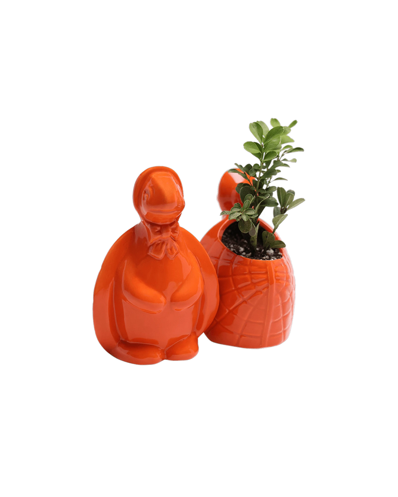 Two Chive Turtle Orange color glazed ceramic turtle shaped planters styled with a plant.