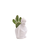 Chive Turtle White color glazed ceramic turtle shaped planter styled with a cactus plant.
