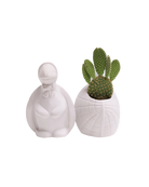 Two Chive Turtle White color glazed ceramic turtle shaped planters styled with a cactus.