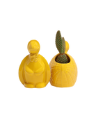 Two Chive Turtle Yellow color glazed ceramic turtle shaped planters styled with a cactus.