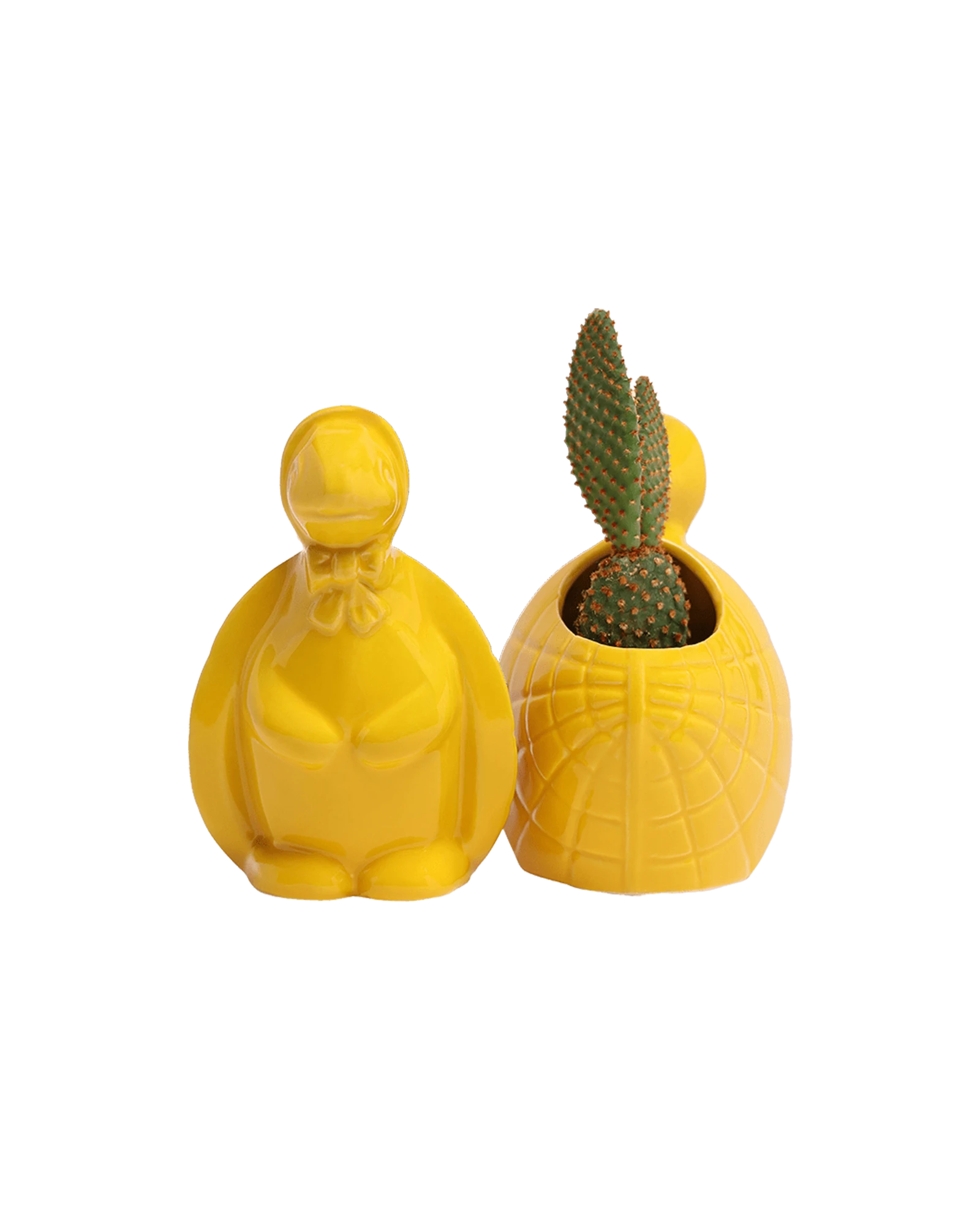 Two Chive Turtle Yellow color glazed ceramic turtle shaped planters styled with a cactus.